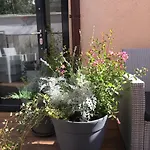 каро и Хотел 3*